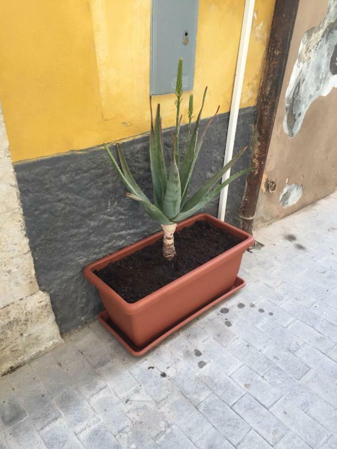 הוילה סירקוזה Casa Rachele מראה חיצוני תמונה